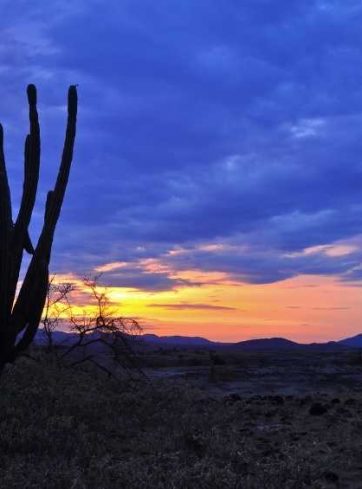 Desierto de la Tatacoa Atardecer